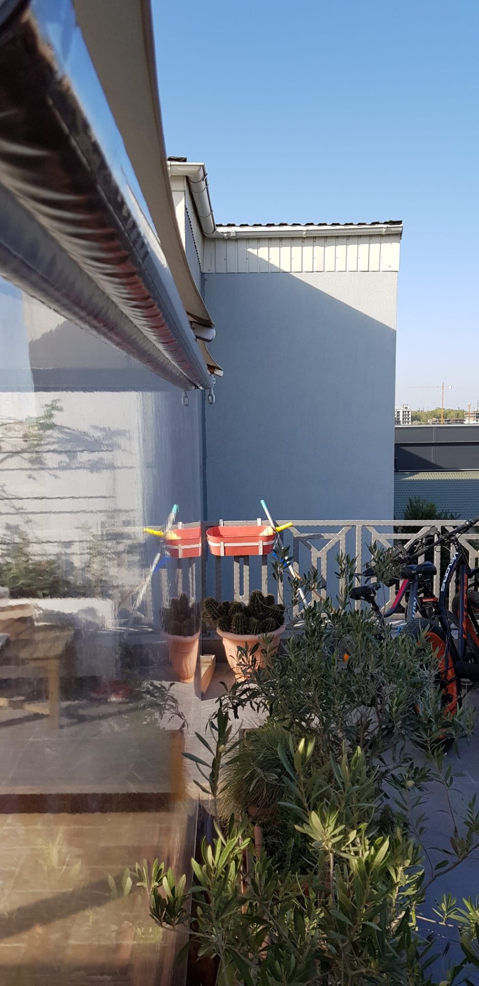 20190916_170143-rotated